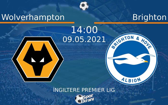 09 Mayıs 2021 Wolverhampton vs Brighton maçı Hangi Kanalda Saat Kaçta Yayınlanacak?