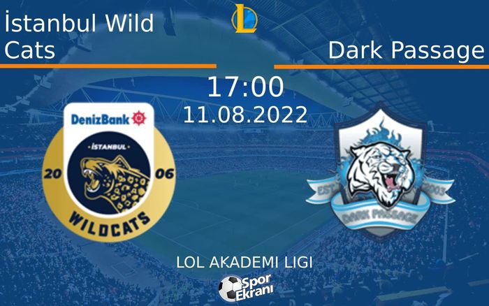 11 Ağustos 2022 İstanbul Wild Cats vs Dark Passage maçı Hangi Kanalda Saat Kaçta Yayınlanacak?