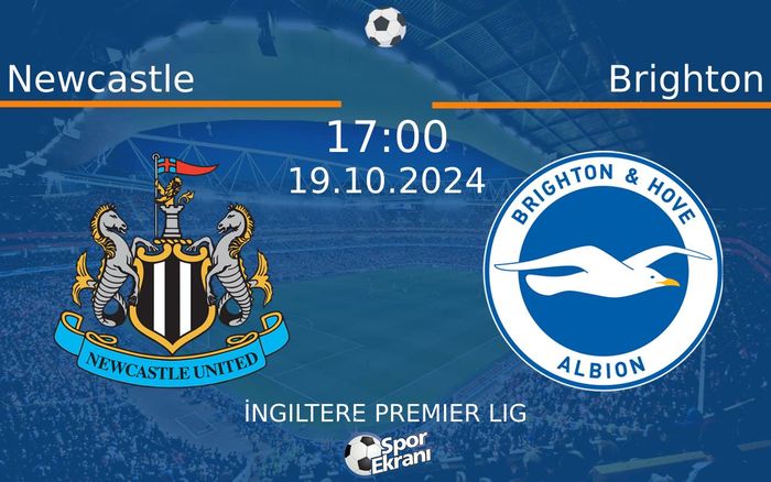 19 Ekim 2024 Newcastle vs Brighton maçı Hangi Kanalda Saat Kaçta Yayınlanacak? 19 Ekim 2024 Newcastle vs Brighton maçı Hangi Kanalda Saat Kaçta Yayınlanacak?