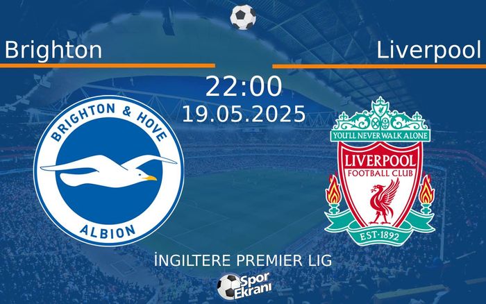 19 Mayıs 2025 Brighton vs Liverpool maçı Hangi Kanalda Saat Kaçta Yayınlanacak? 19 Mayıs 2025 Brighton vs Liverpool maçı Hangi Kanalda Saat Kaçta Yayınlanacak?