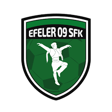 Efeler 09 Spor