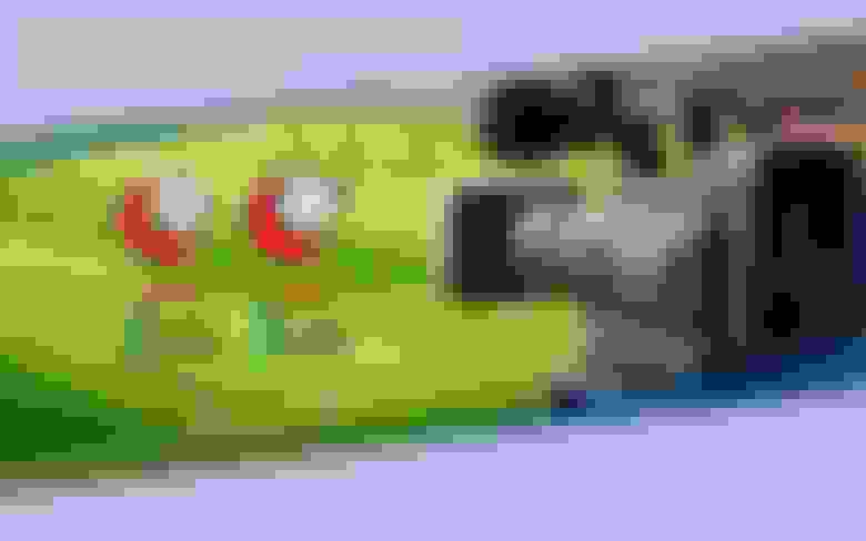 Nesine 2’nci Lig ve 3’üncü Lig'in Yayıncısı Tivibu Spor ve Yaay Oldu