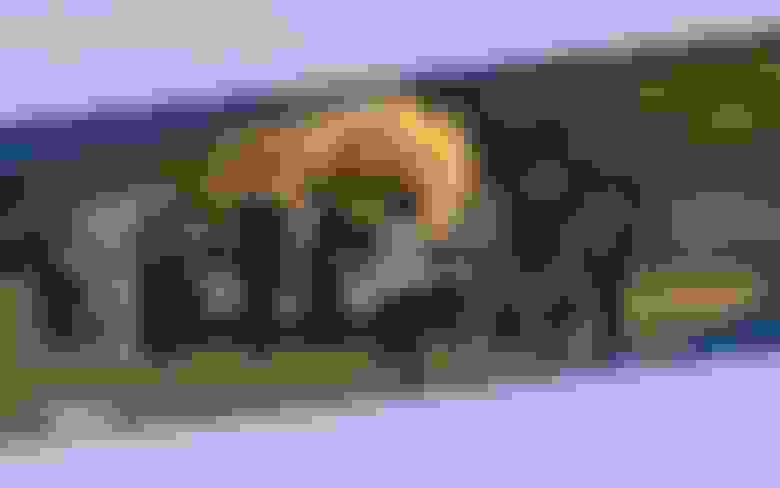 Yeraltı 13’üncü Bölüm İzle