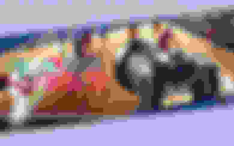 25/26 Basketbol Süper Ligi 28’inci Haftasında Yayınlanacak Şifresiz Maçlar Belli Oldu