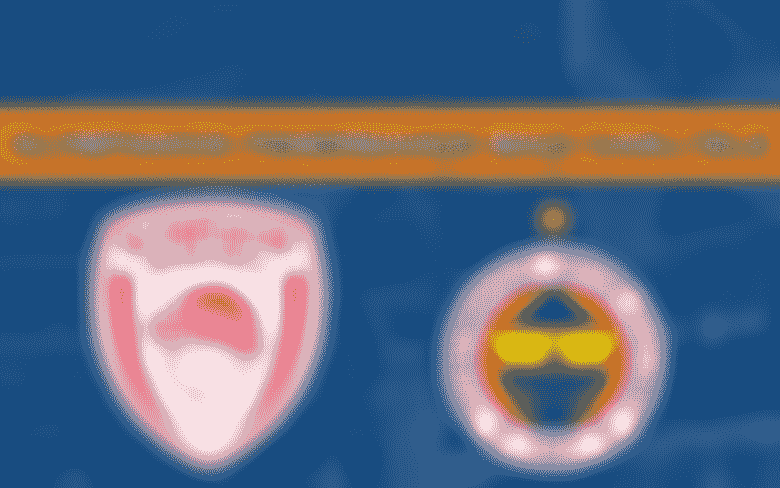 BEDAVA CANLI MAÇ İZLE Olympiakos-Fenerbahçe Beko 4 Aralık S SPORT LİNK