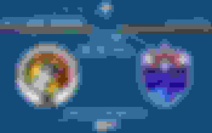 Balestier Khalsa - Lion City