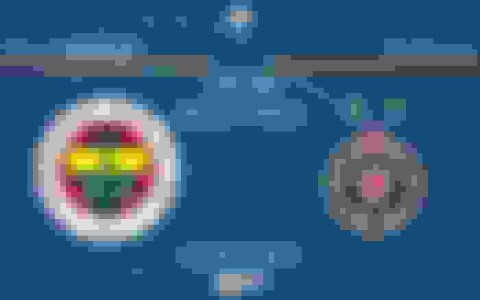 Fenerbahçe - Partizan