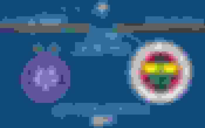 Austria Wien - Fenerbahçe