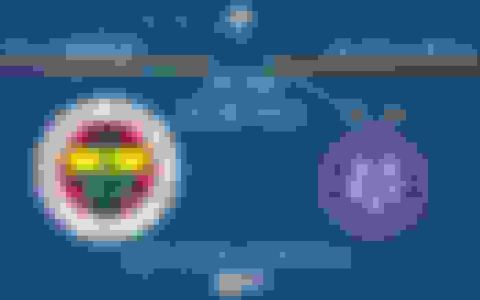 Fenerbahçe - Austria Wien