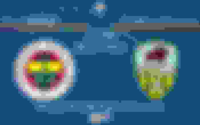 Fenerbahçe - Zimbru Chisinau