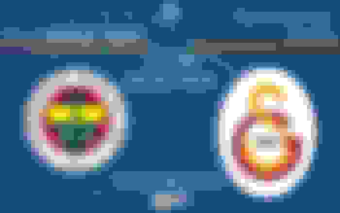 Fenerbahçe Opet - Galatasaray Daikin