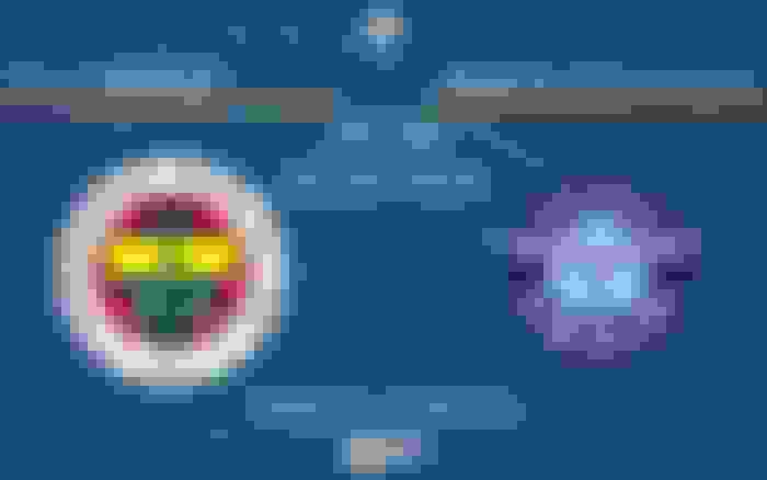 Fenerbahçe - Adana Demirspor