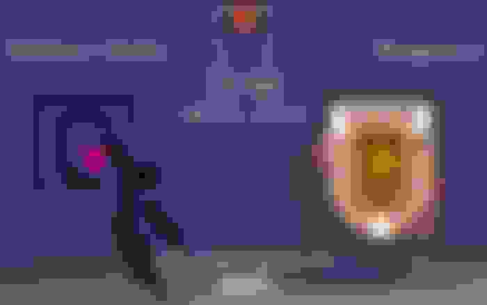 Telekom Bonn - Reggiana