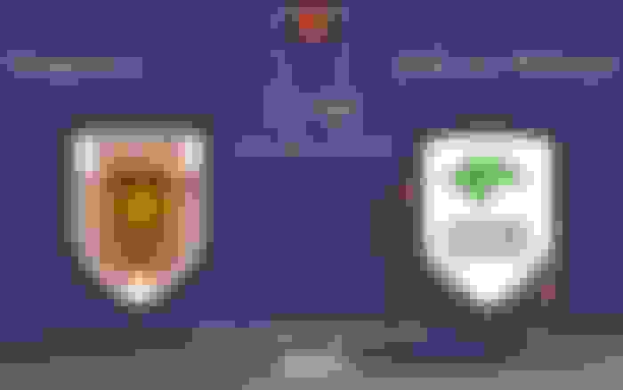 Reggiana - Unicaja Malaga