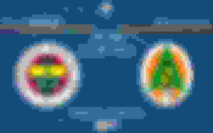 Fenerbahçe - Alanyaspor