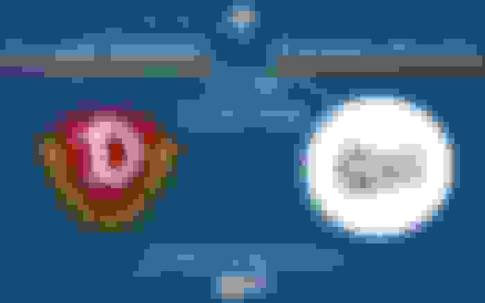 Dynamo Dresden - Preussen Münster