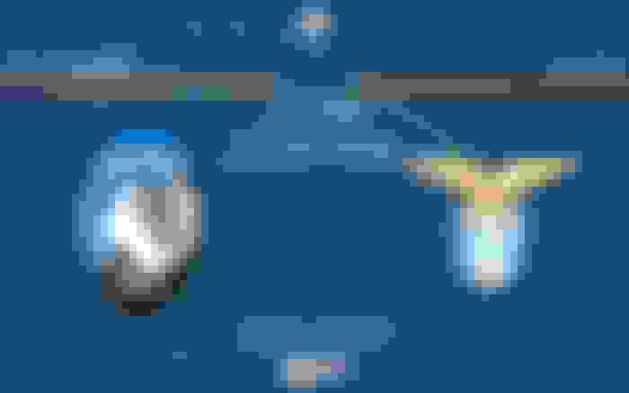 Atalanta - Lazio