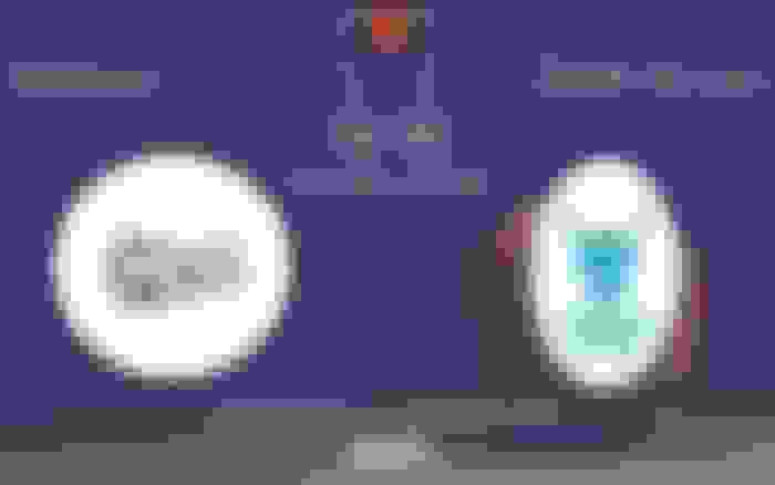 Göztepe - OGM Orman