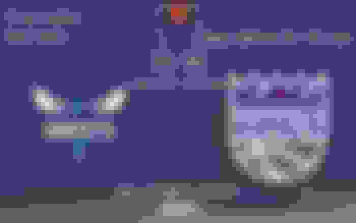 Charlotte Hornets - Sacramento Kings