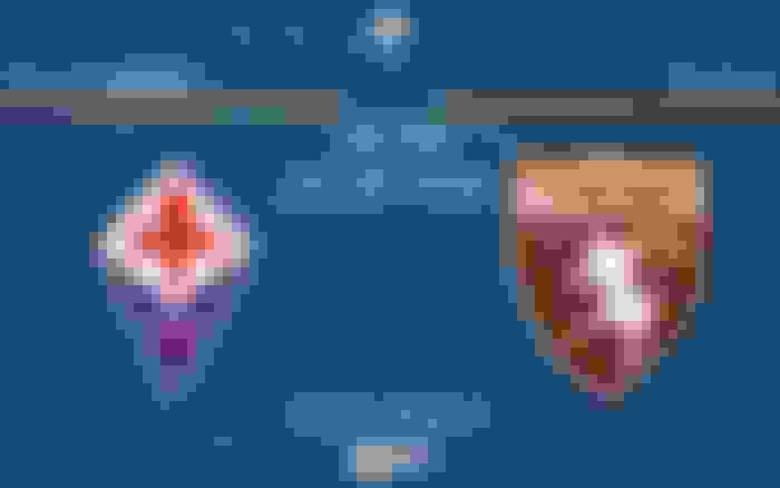 Fiorentina - Torino