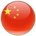 Y.Wu Y.Wu