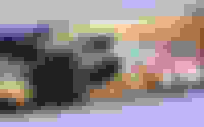 25/26 Basketbol Süper Ligi 27’nci Haftasında Yayınlanacak Şifresiz Maçlar Belli Oldu