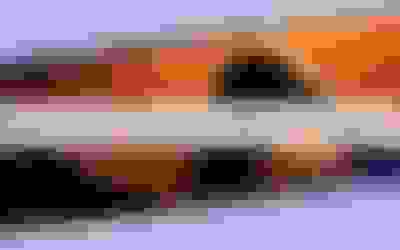 Wimbledon Tenis Turnuvası, 2'nci Dünya Savaşı'ndan Beri İlk Kez İptal Edildi