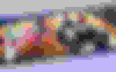 25/26 Basketbol Süper Ligi 28’inci Haftasında Yayınlanacak Şifresiz Maçlar Belli Oldu