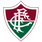Fluminense Fluminense