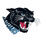 JV Jaguars JV Jaguars