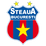 FCSB