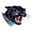 JV Jaguars