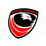 Kartal Anadolu