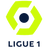 Fransa Ligue 1