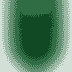 Austin FC