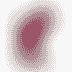 Miami Heat