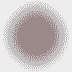 Partizan