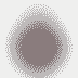 Partizan