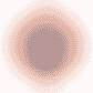 Connecticut Sun