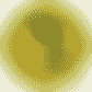 Club America