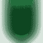 Austin FC