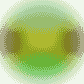 Jamaika