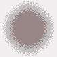 Partizan