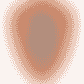 Brisbane Roar