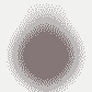 Partizan