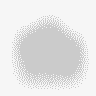 Yarışma Programı